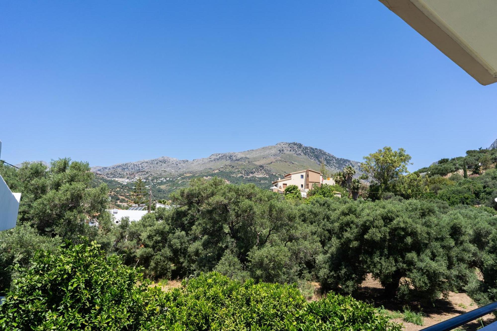 Medousa Studio & Apartments Plakias Extérieur photo